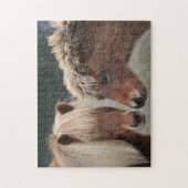 ロバおよび子馬のアイスランドの馬のパズル ジグソーパズル (縦)