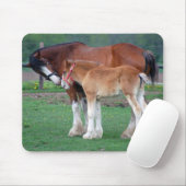 ロバおよび子馬2のmousepad マウスパッド (マウス)