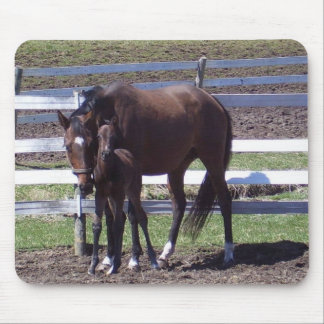 ロバおよび子馬 マウスパッド