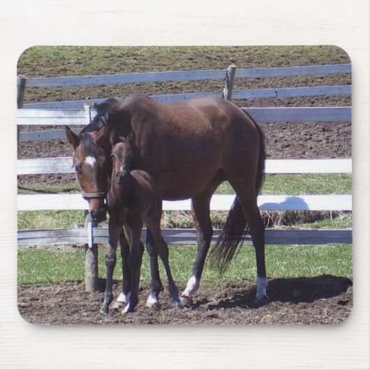 ロバおよび子馬 マウスパッド (正面)
