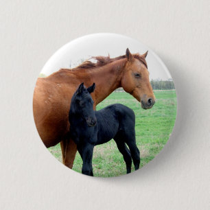 ロバおよび彼女の子馬 缶バッジ
