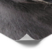 「ロバがサンタ素晴らしスを作れ！」 ポスター (角)