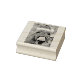 「ロバがサンタ素晴らしスを作れ！」 ラバースタンプ