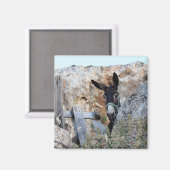 ロバが大好き！ マグネット (正面/裏面)