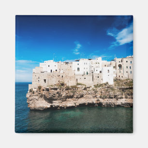 ロバがPugliaで崖で収容するPolignano マグネット