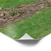 ロバとの田舎の静物生活 ポスター (コーナー)