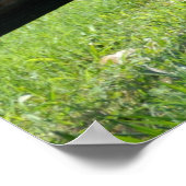 ロバとゼブラミックスのゾンキー名 ポスター (角)