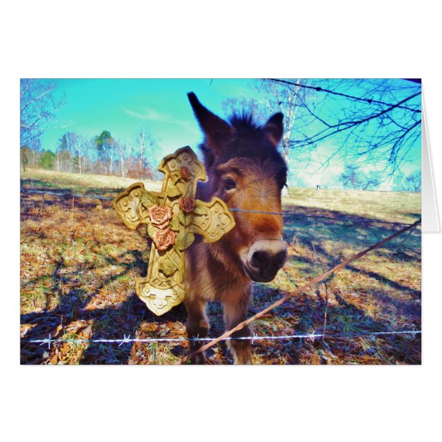 ロバとバラクロス (正面横)