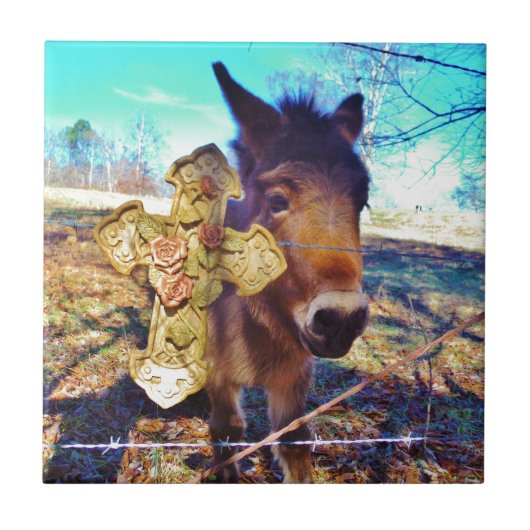 ロバとバラクロス タイル (正面)