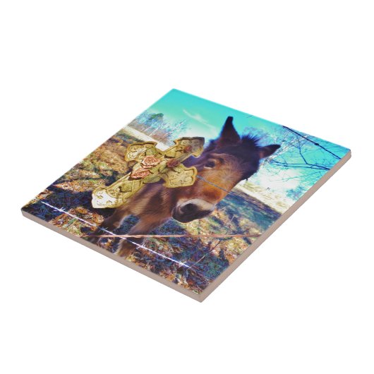 ロバとバラクロス タイル (側面)