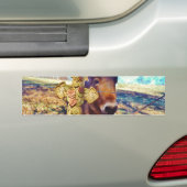 ロバとバラクロス バンパーステッカー (車上)