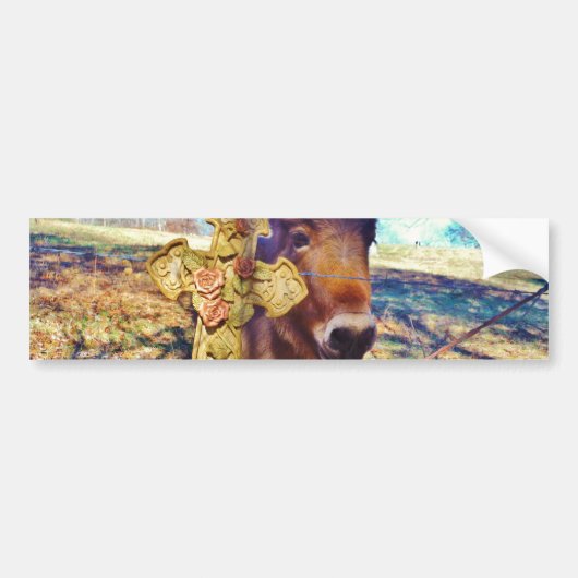 ロバとバラクロス バンパーステッカー (正面)