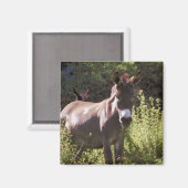 ロバと牧草地 マグネット (正面/裏面)