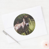 ロバと牧草地 ラウンドシール (封筒)