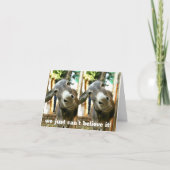 *ロバのカップルは信じられないだけだ* 50誕生日 カード (正面)