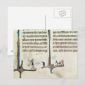 ロバのバッグを運運転する男 ポストカード (正面/裏面)