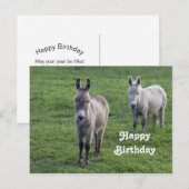 ロバのブラウンタン動物写真誕生日 ポストカード (正面/裏面)