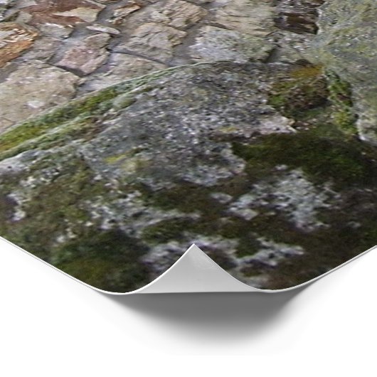 ロバのポスター ポスター (角)