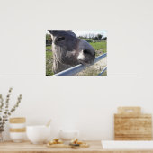 ロバのポスター ポスター (キッチン)