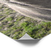 ロバのポスター ポスター (角)