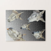 ロバのポートレート ジグソーパズル (横)