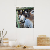 ロバの愛のポスター ポスター (キッチン)