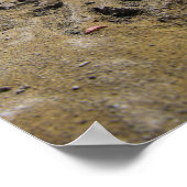 ロバの猫 ポスター (角)