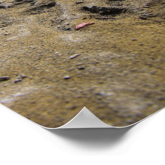 ロバの猫 ポスター (角)