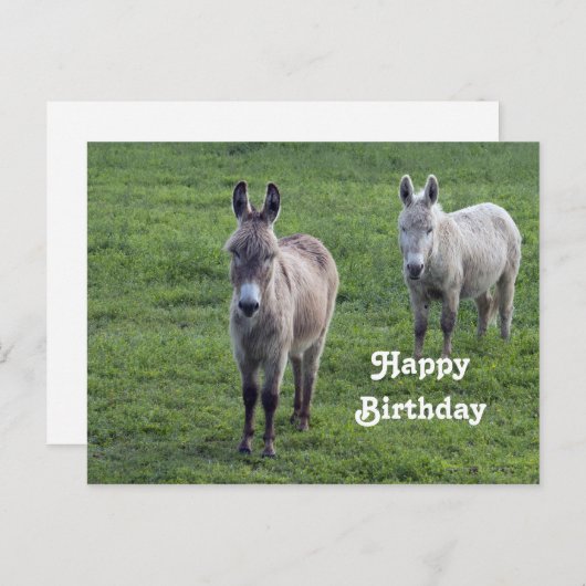 ロバの茶色のタン動物の写真の誕生日 ポストカード (正面/裏面)