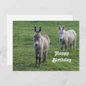 ロバの茶色の動物の写真の誕生日 ポストカード (正面/裏面)