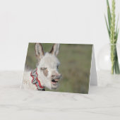 ロバの誕生日カード カード (裏面)