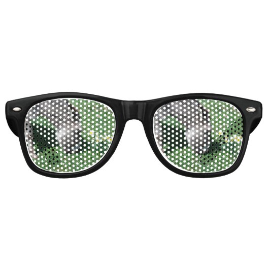 ロバは野生のダフ食べルを持たない レトロサングラス (正面)