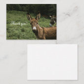 ロバサンキューカード ノートカード (正面/裏面)