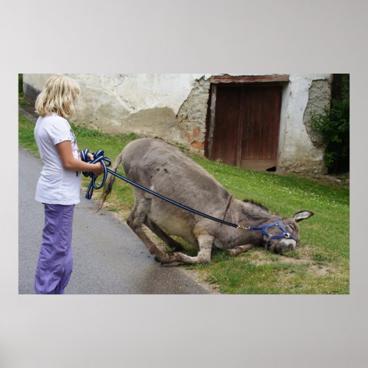 ロバリラックスー ポスター (正面)