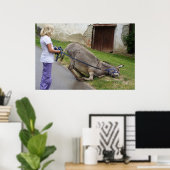 ロバリラックスー ポスター (ホームオフィス)