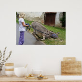 ロバリラックスー ポスター (キッチン)