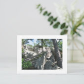 ロバーズケーブスオクラホマ ポストカード (スタンド正面)