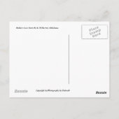 ロバーズケーブ州パークハガキ ポストカード (裏面)