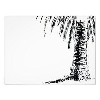 ロバーツの木 フォトプリント           