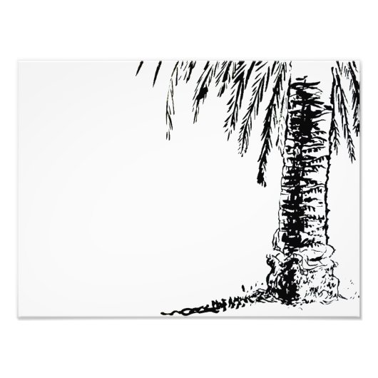 ロバーツの木 フォトプリント            (正面)