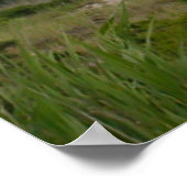 ロバートモーズパークニューヨークライトハウスプリント ポスター (角)