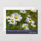 ロバート・バーンズデイジー引用文 ポストカード (正面/裏面)