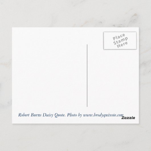ロバート・バーンズデイジー引用文 ポストカード (裏面)