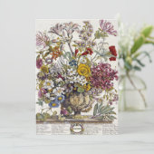 ロバート・ファーバー - 10月 - 十二ヶ月 招待状 (スタンド正面)