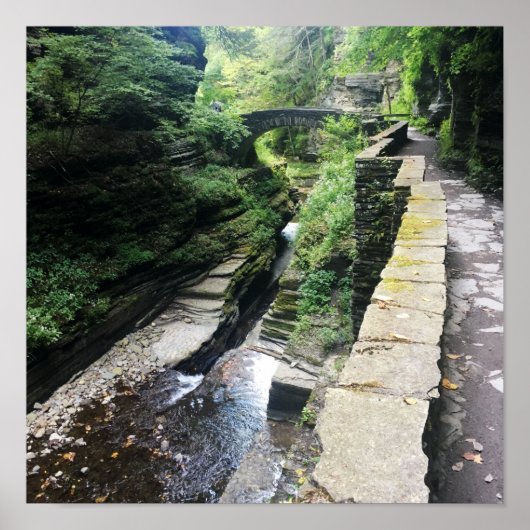 ロバート・h・トレマン州・パーク・ブリッジ ポスター (正面)