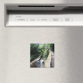 ロバート・h・トレマン州・パーク・ブリッジ マグネット (インサイチュ (食洗機))