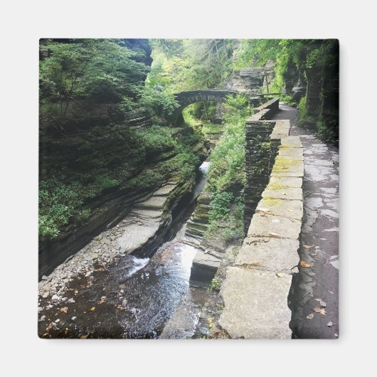 ロバート・h・トレマン州・パーク・ブリッジ マグネット (正面)