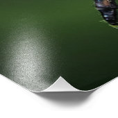 ロバーフライ フォトプリント            (角)