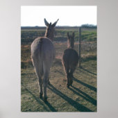 ロバ兄弟 ポスター (正面)