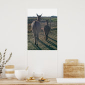 ロバ兄弟 ポスター (キッチン)